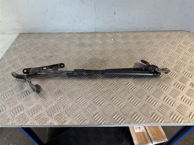 Tailgate Struts (set)