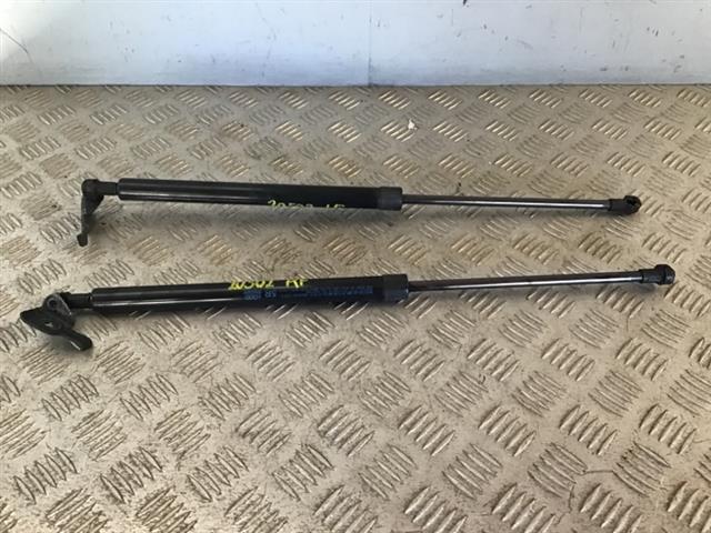 Bonnet Gas Struts (set)