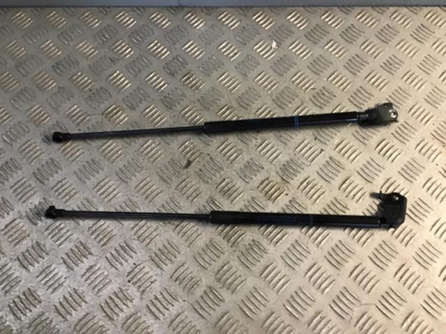 Bonnet Gas Struts (set)