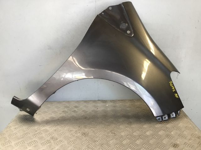 Rf Guard/fender