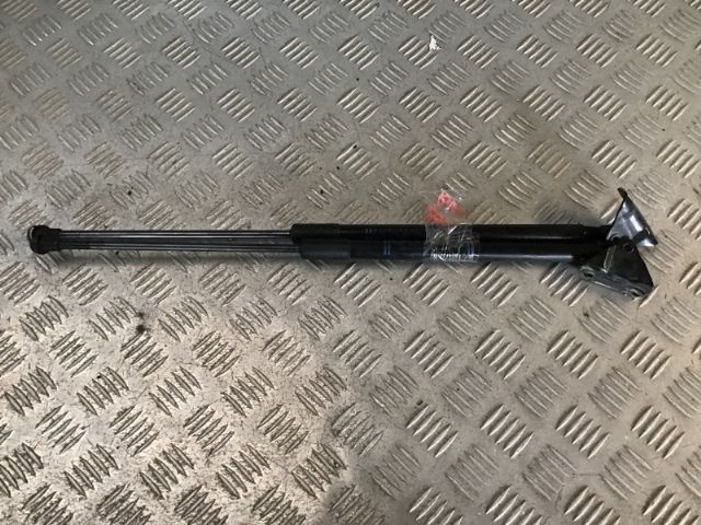 Tailgate Struts (set)