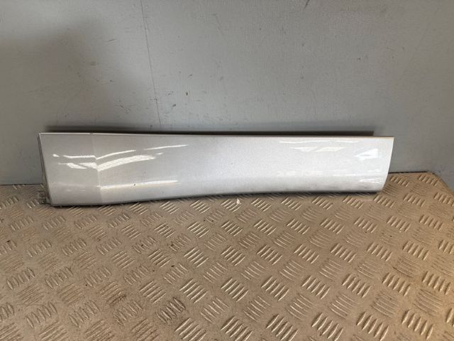 Rr Lower Door Moulding