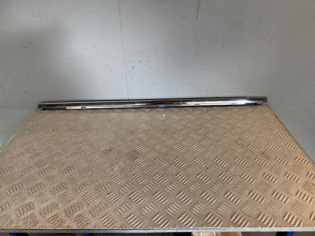 Rr Door Weather Strip Mould