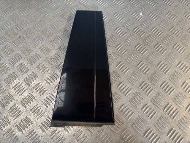 Rr Door Moulding