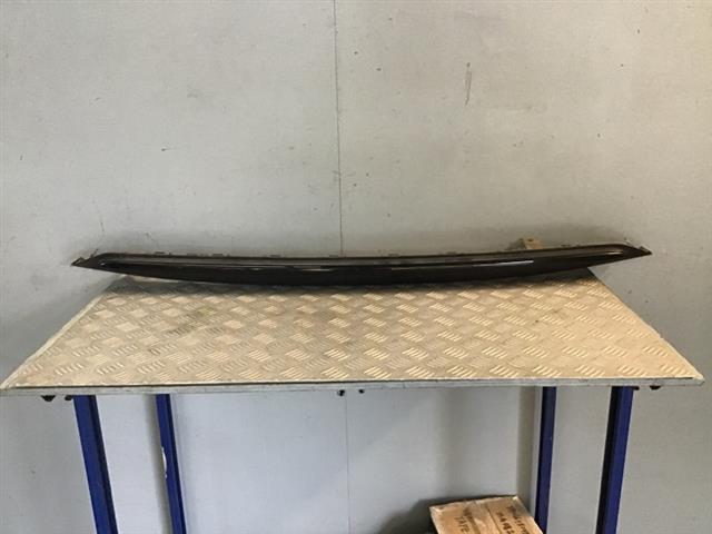 Rear Bumper Lower Garnish