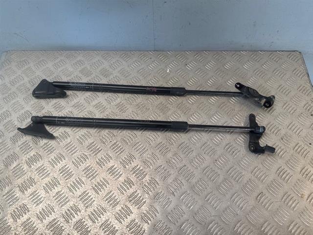 Tailgate Struts (set)