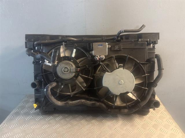 Radiator Electric Fan Assembly