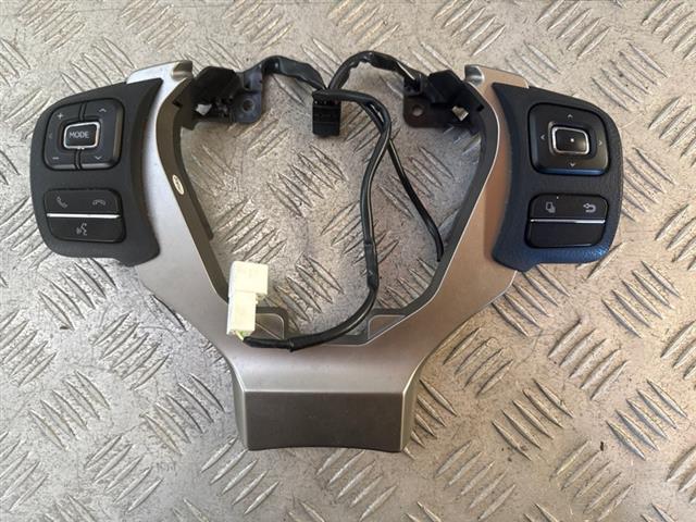 Steering Wheel Controls Lh