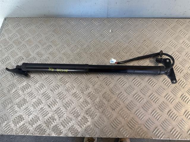 R Tailgate Strut (self Opening)
