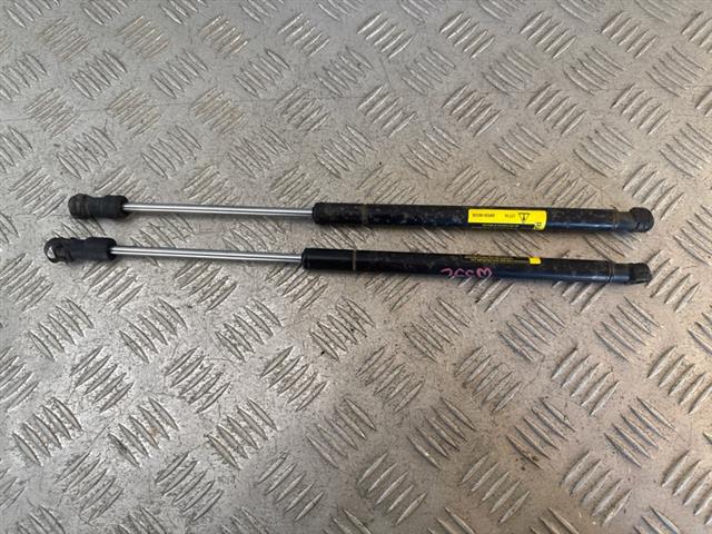Tailgate Struts (set)