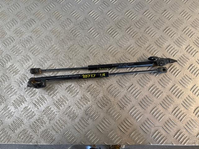 Tailgate Struts (set)