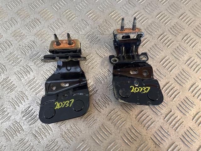 Tailgate Hinges (set)