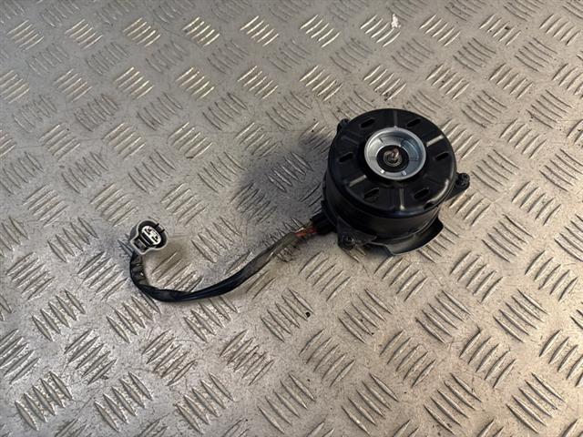 Radiator Fan Motor