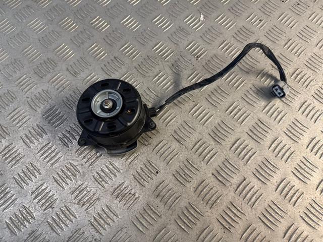 Radiator Fan Motor