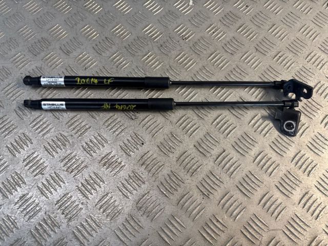 Bonnet Gas Struts (set)