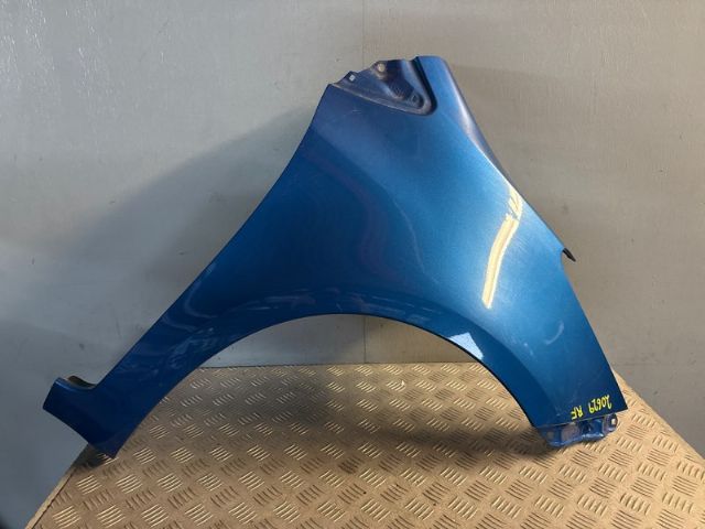 Rf Guard/fender