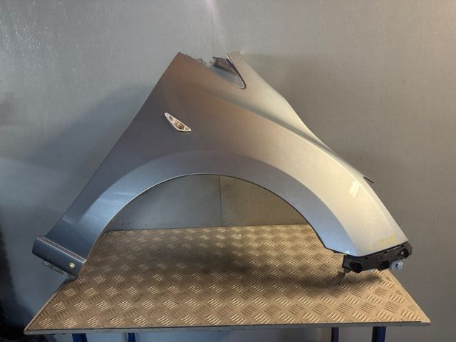Rf Guard/fender
