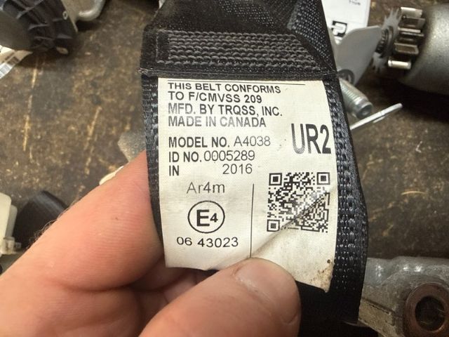 Rr Seat Belt