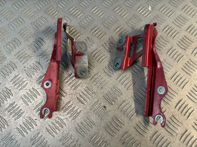 Bonnet Hinges (set)