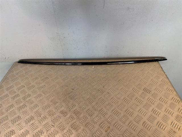 Rear Bumper Moulding