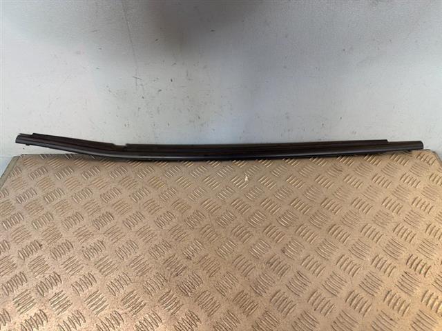 Rr Door Weather Strip Mould