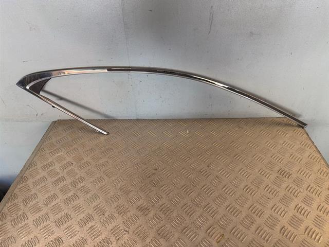 Rr Door Moulding