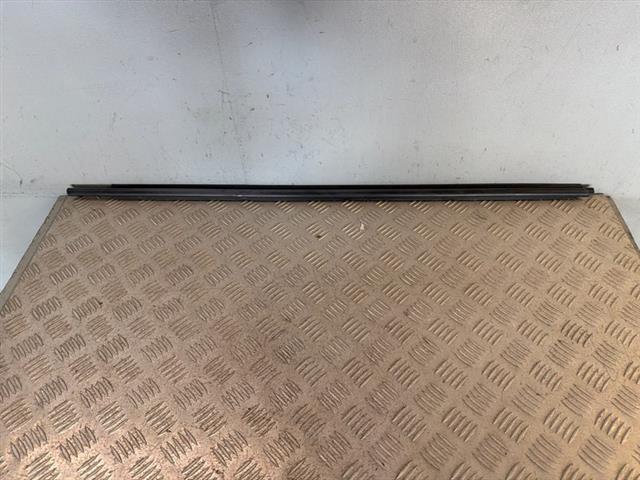 Rf Door Weather Strip Mould
