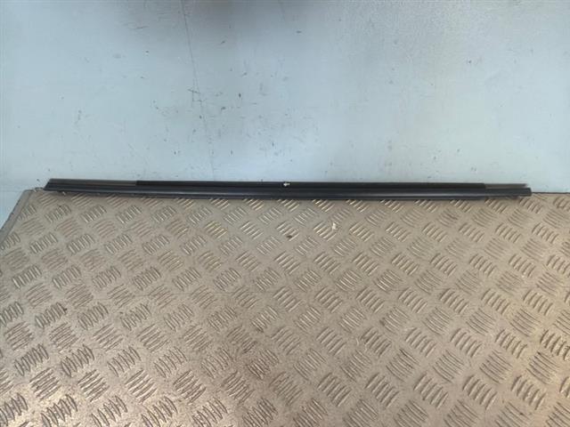 Rr Door Weather Strip Mould
