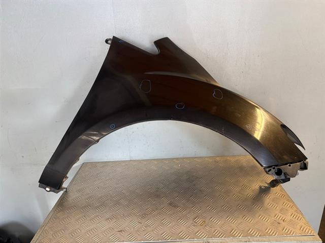 Rf Guard/fender