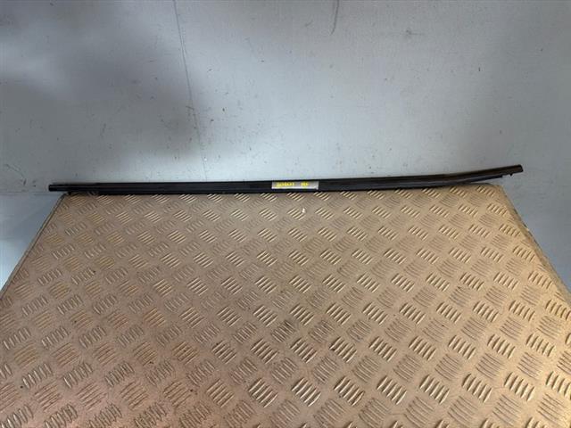 Rf Door Weather Strip Mould