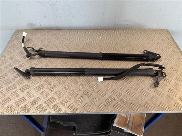 Tailgate Struts Set (self Opening)