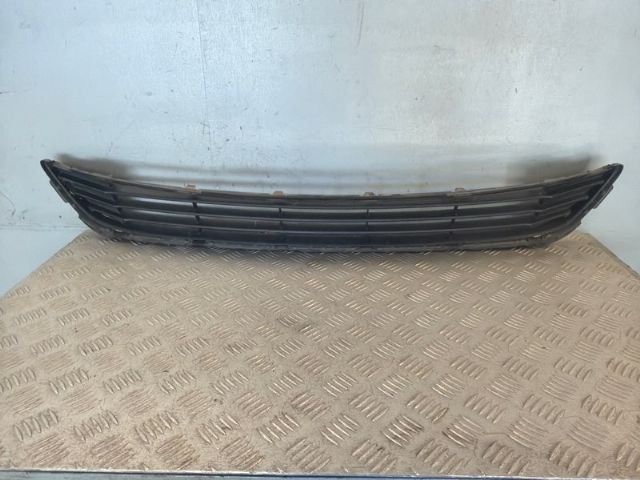 Grille Lower