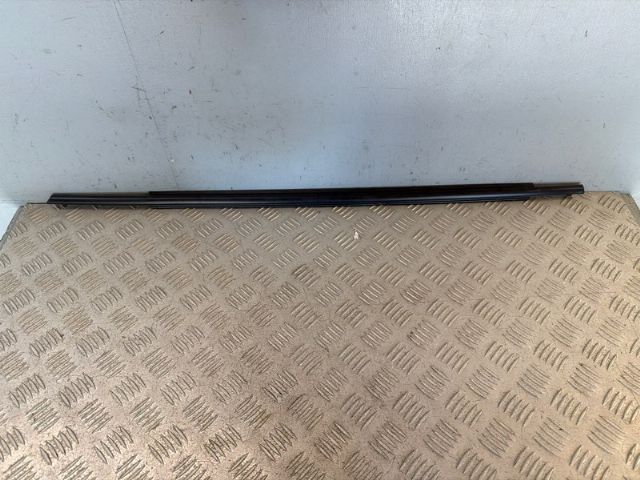 Rr Door Weather Strip Mould