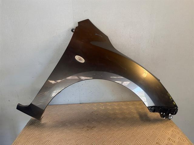 Rf Guard/fender