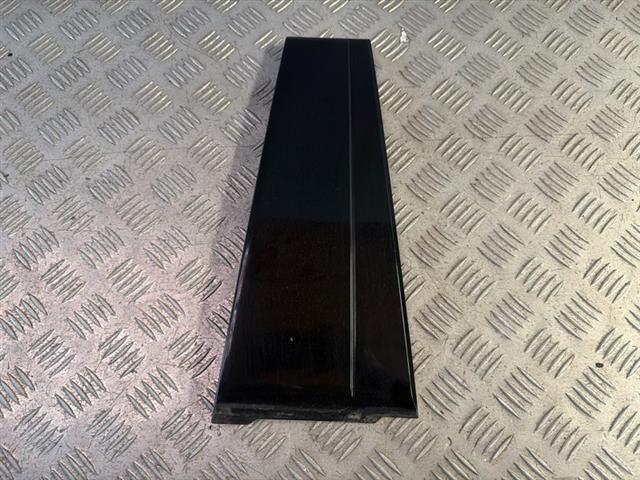Rr Door Moulding