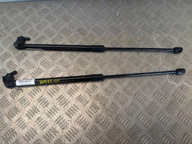 Bonnet Gas Struts (set)