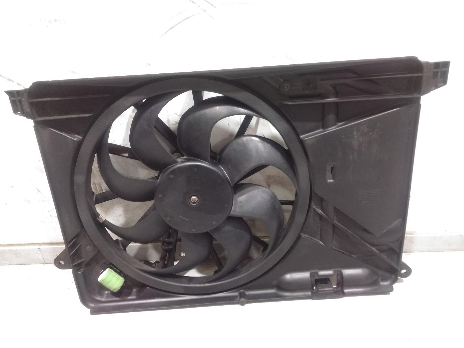 Fan
