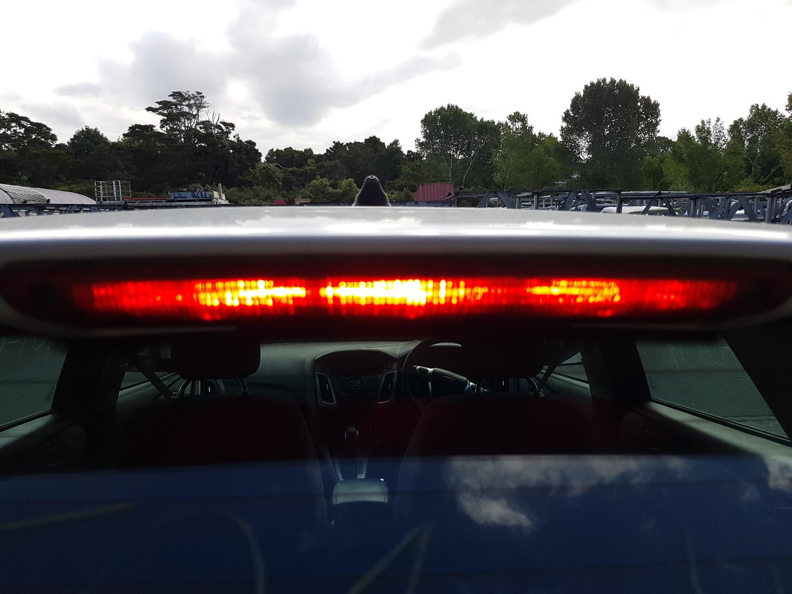 Ford Focus - LW 2011-2015