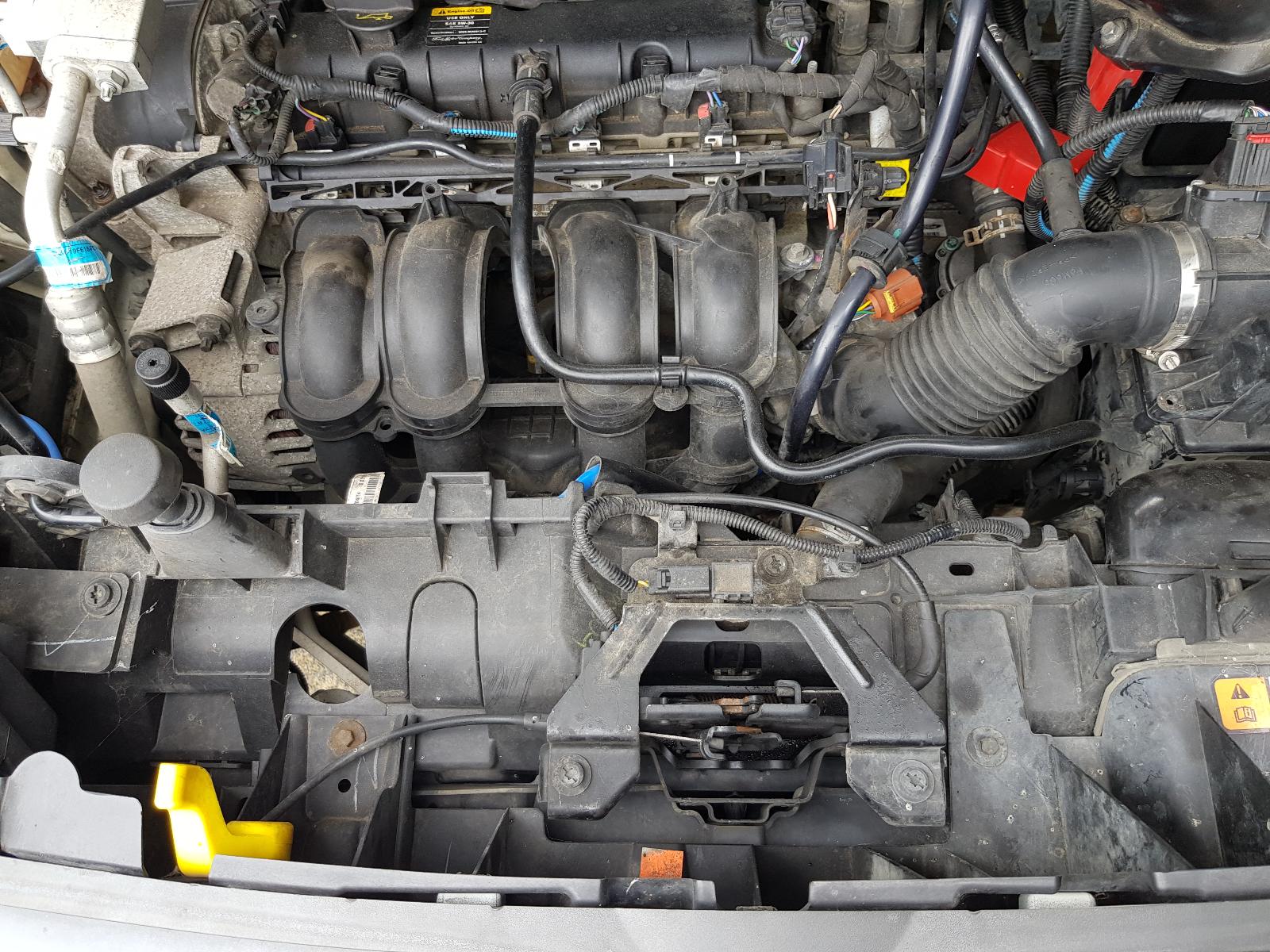 Ford EcoSport - BW 2013-present