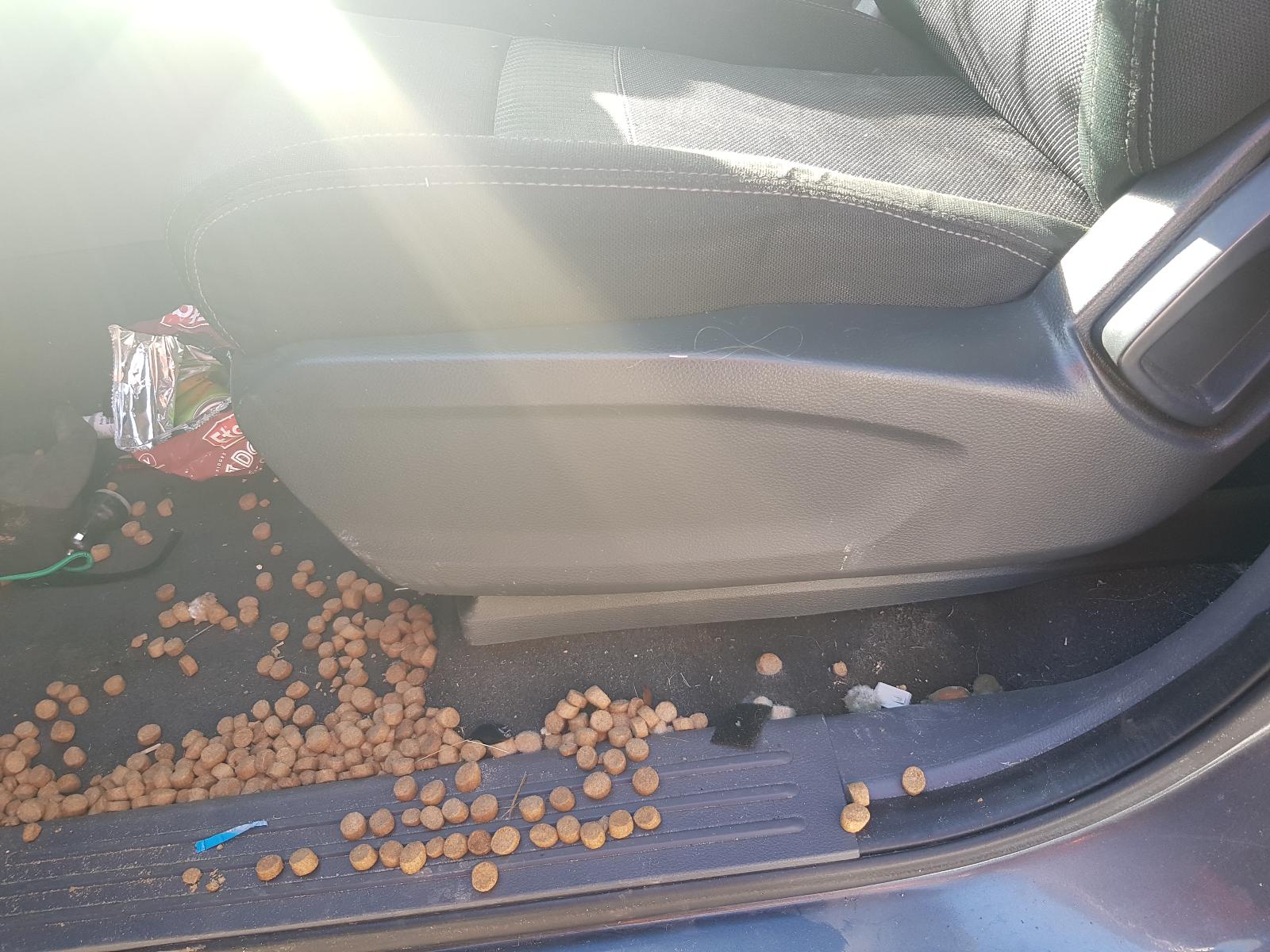 Ford Ranger - PX/PX2 2011-2017