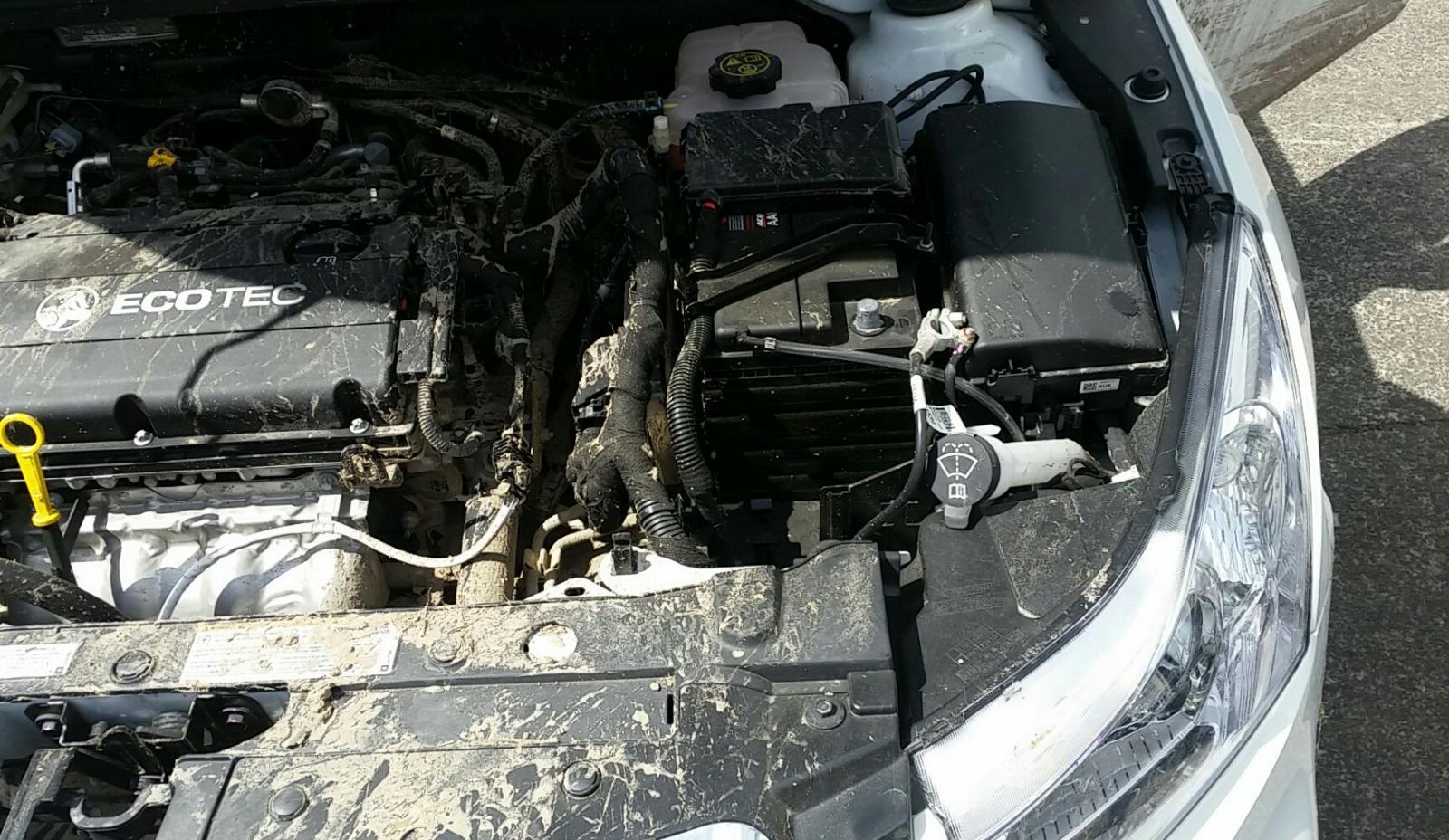 Holden Cruze - 2009-Present