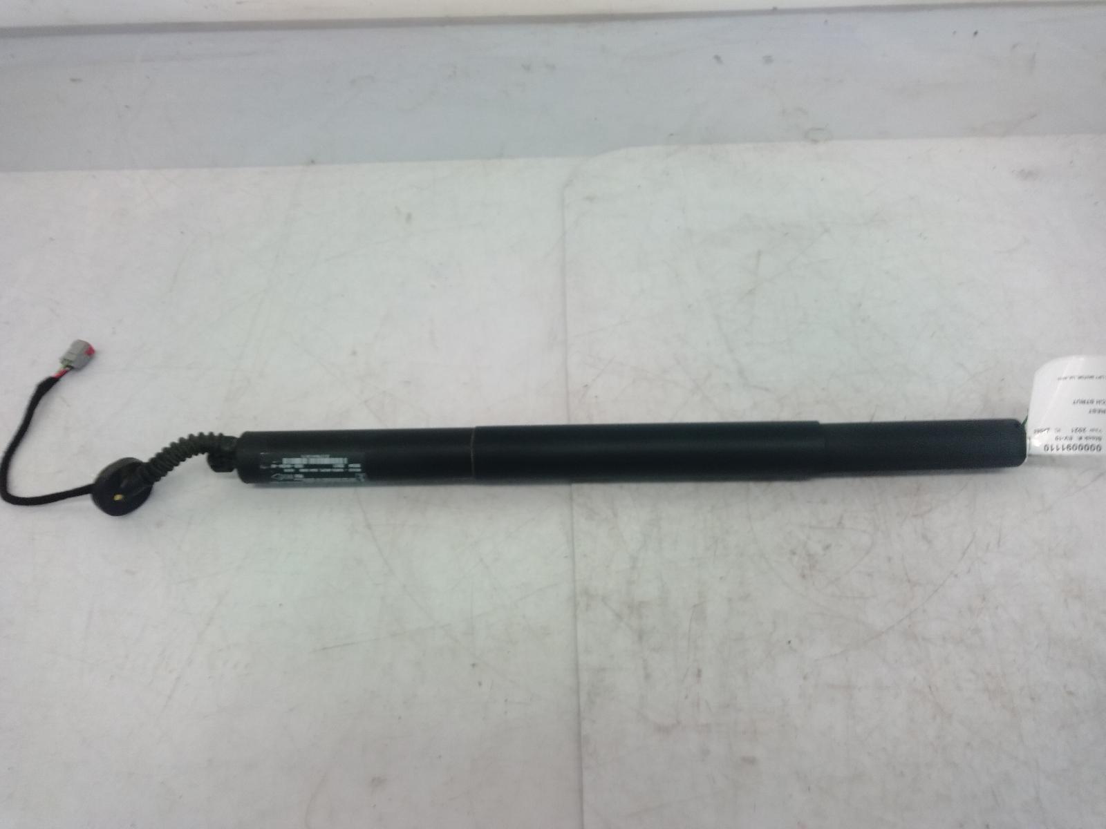 Hatch Strut