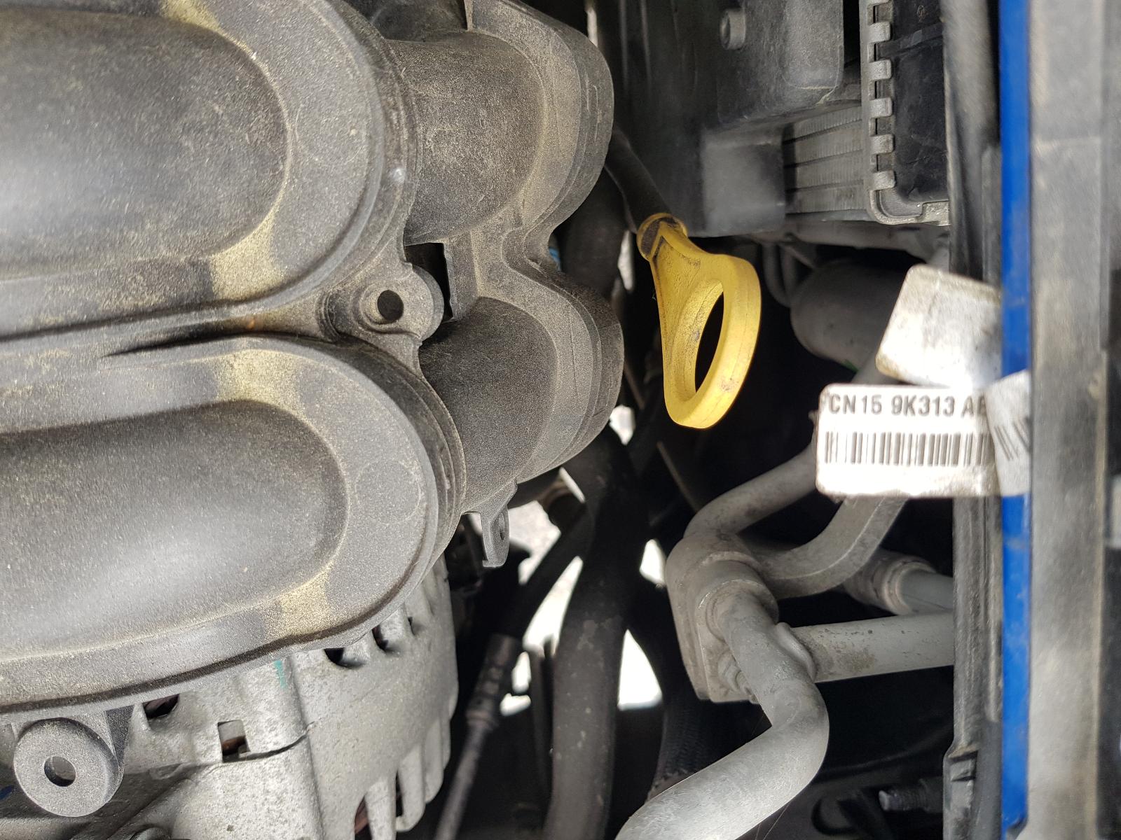 Ford EcoSport - BW 2013-present