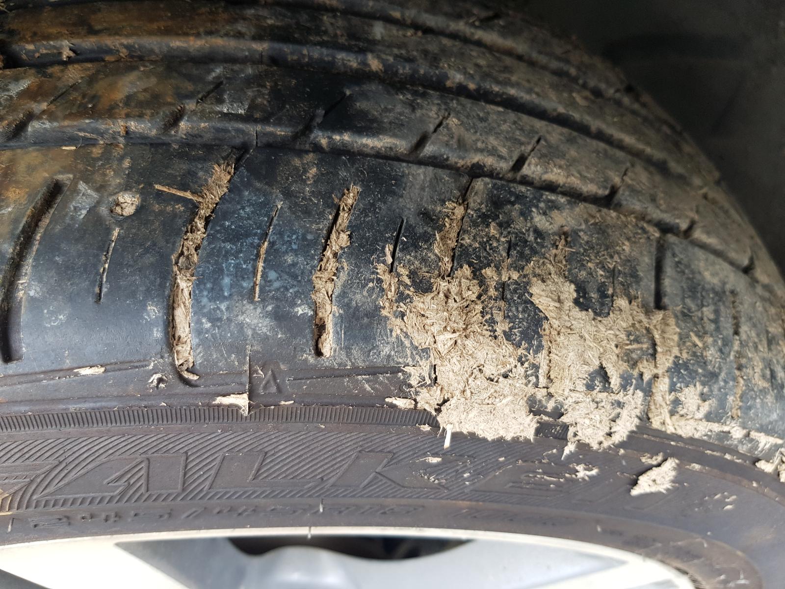 Holden Commodore - VF 2013-Present