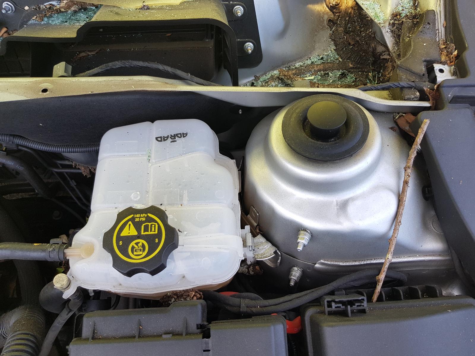 Holden Cruze - 2009-Present