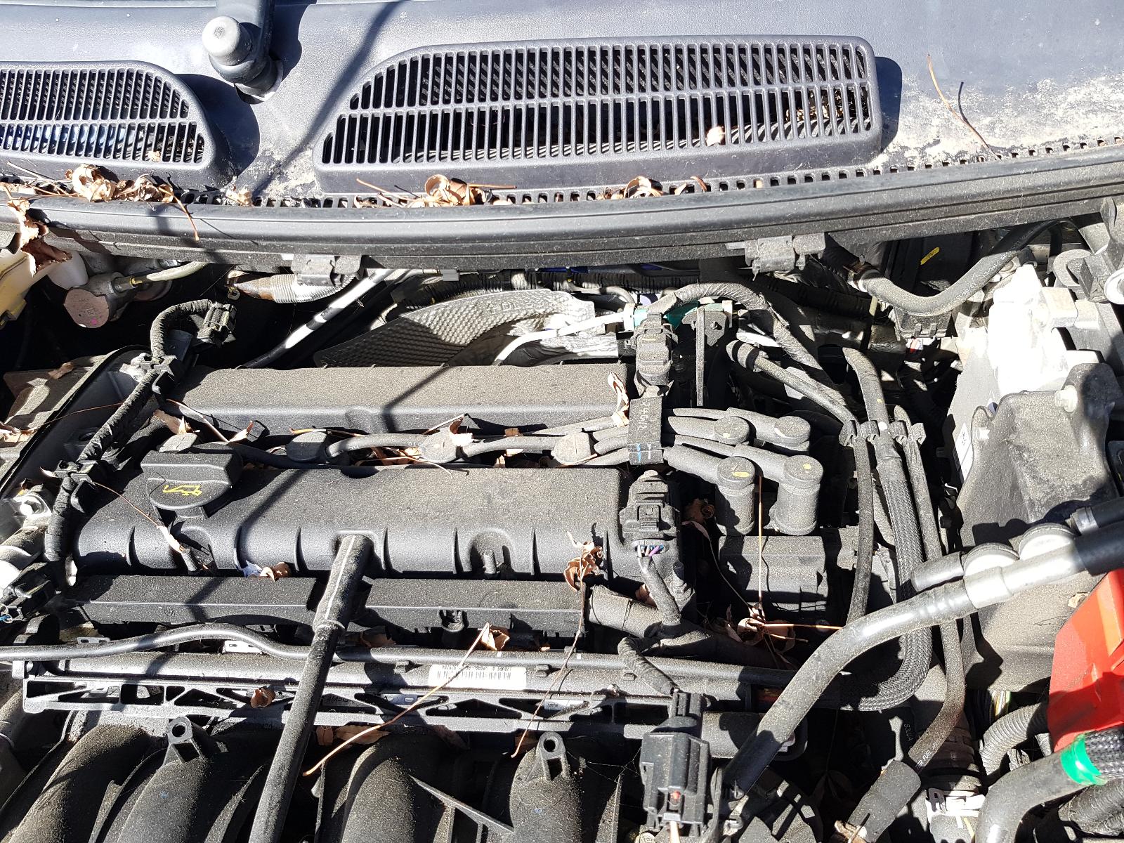 Ford Fiesta - WZ 2013-Present