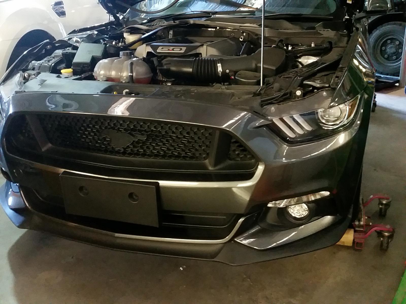 Ford Mustang - All series