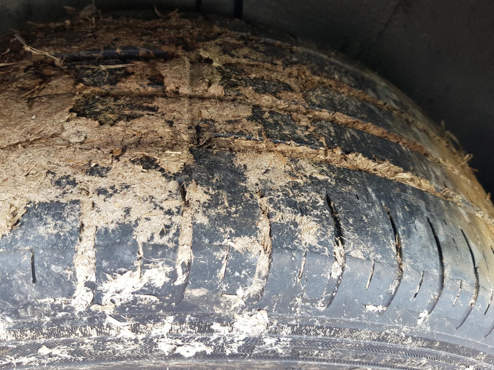 Holden Commodore - VF 2013-Present