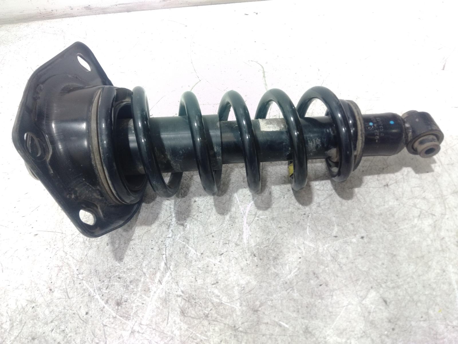 Left Rear Strut