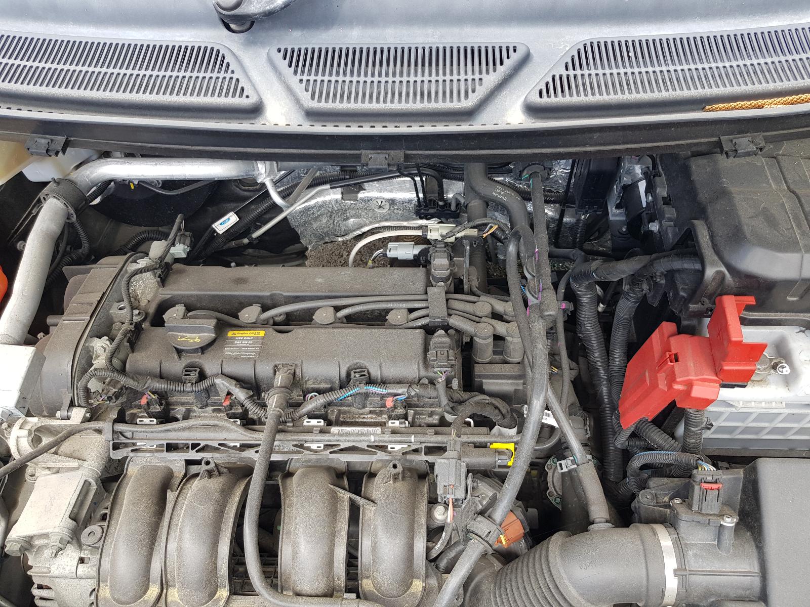 Ford EcoSport - BW 2013-present